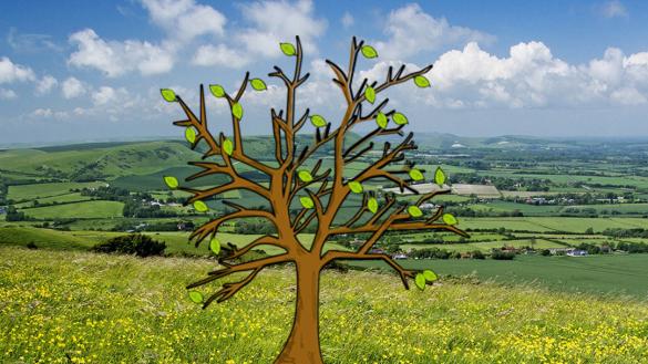 Prayer tree: England and Wales