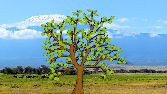 Africa prayer tree