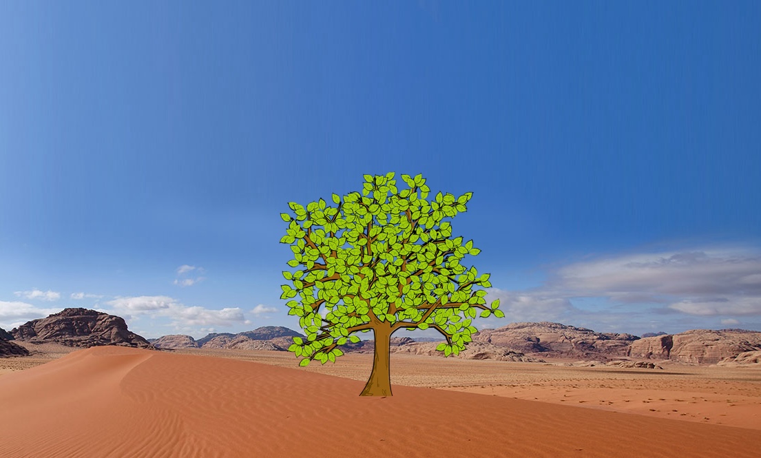 Middle East and North Africa prayer tree